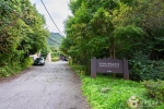 國立雲岳山自然休養林