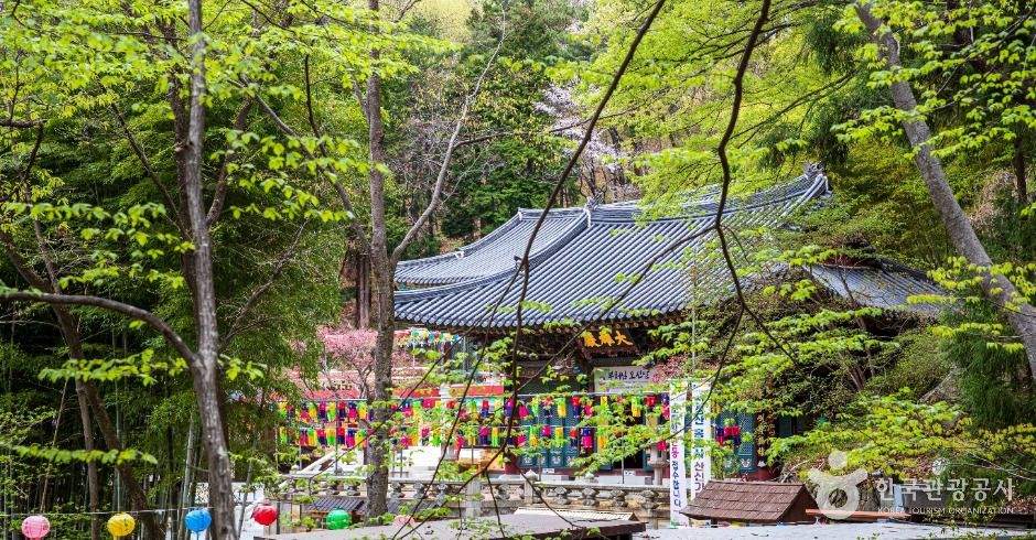 홍룡사(양산)