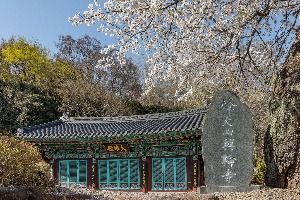 흥륜사(순천)