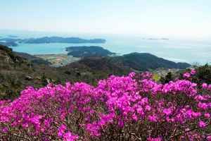 여귀산