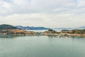 연홍도