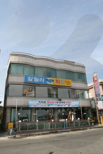 갈릴리회집
