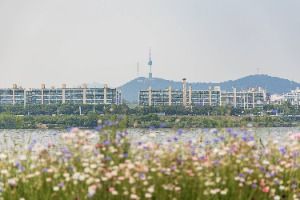 반포 서래섬