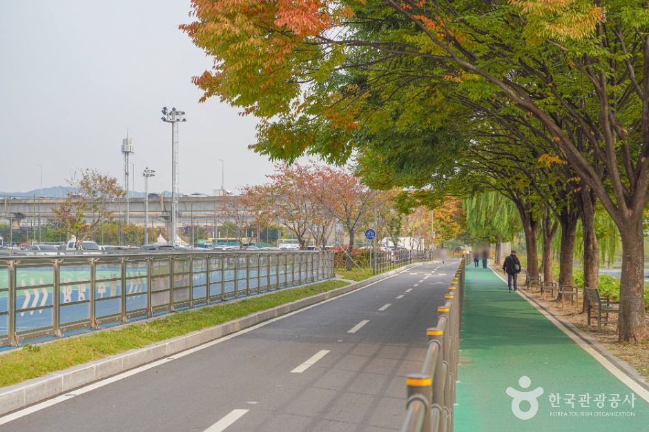 살곶이체육공원