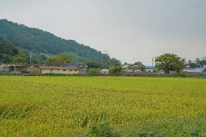 대초마을