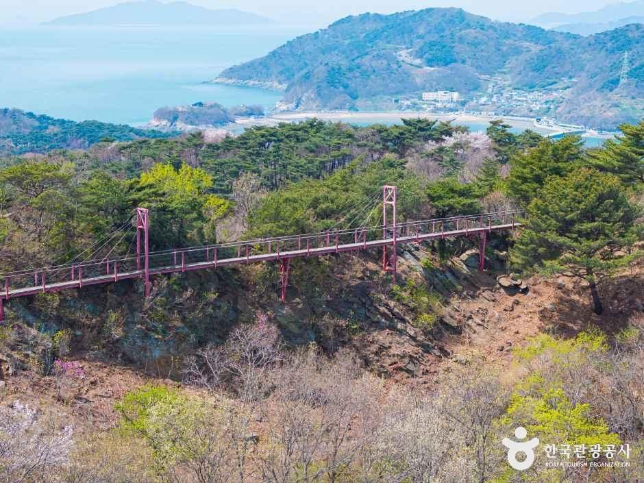 부아산 구름다리