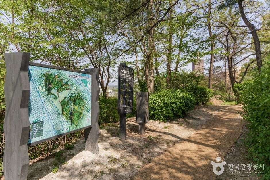 Parque Municipal Odong